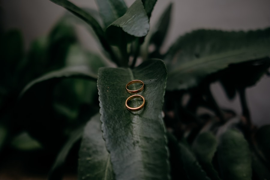 Photo Rings by zodiac - what suits you